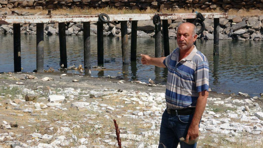 Van Gölü’nde acı fotoğraf. Binlerce martı öldü binlercesi de ölümü bekliyor - Resim: 6