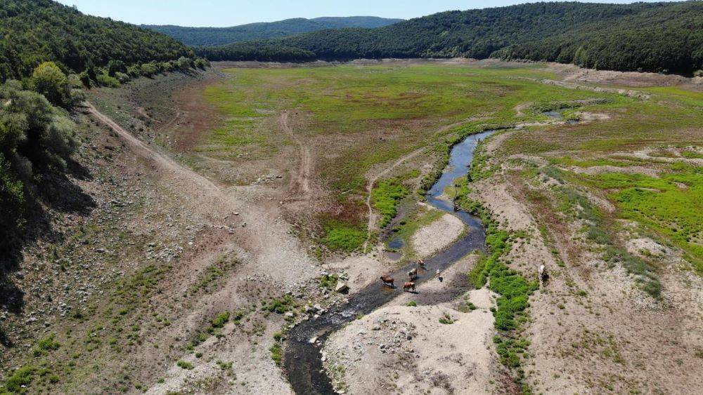 Barajlarda su bitti hayvanlar otlamaya başladı. İstanbul'da tehlike çanları - Resim: 10