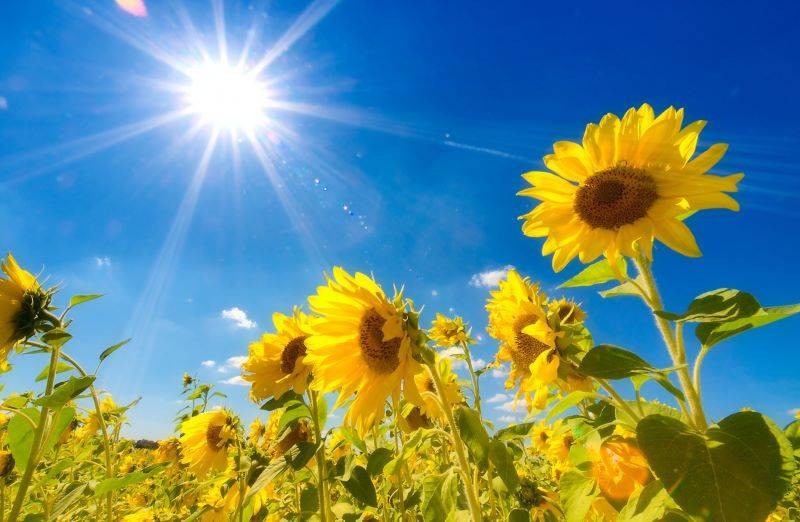 Meteoroloji’den o iller için sağanak uyarısı. Hafta sonu hava nasıl olacak? - Resim: 12