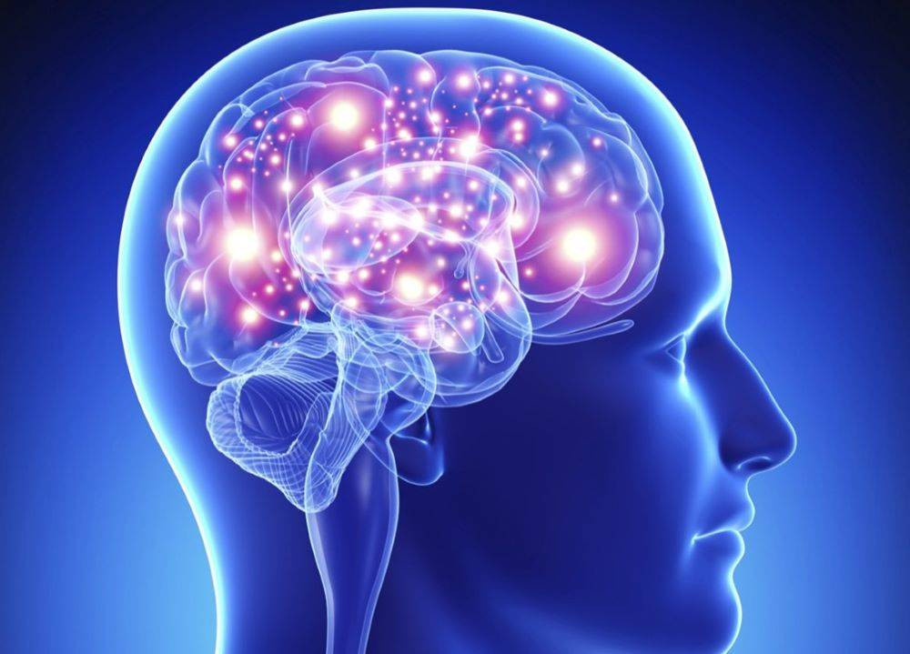 Cinselliğin insan beyni üzerindeki etkisi ortaya çıktı. Bilim dünyasından hayrete düşüren araştırma sonucu - Resim: 3