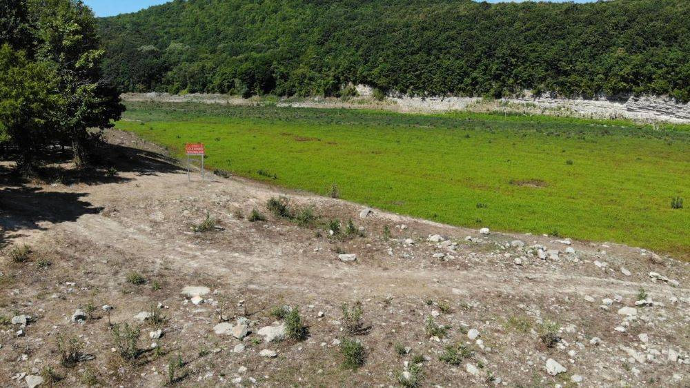 Barajlarda su bitti hayvanlar otlamaya başladı. İstanbul'da tehlike çanları - Resim: 8