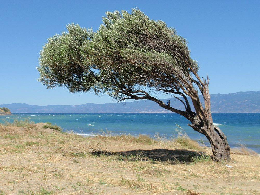 Meteoroloji saat vererek uyardı. Gök gürültülü sağanak geliyor - Resim: 6