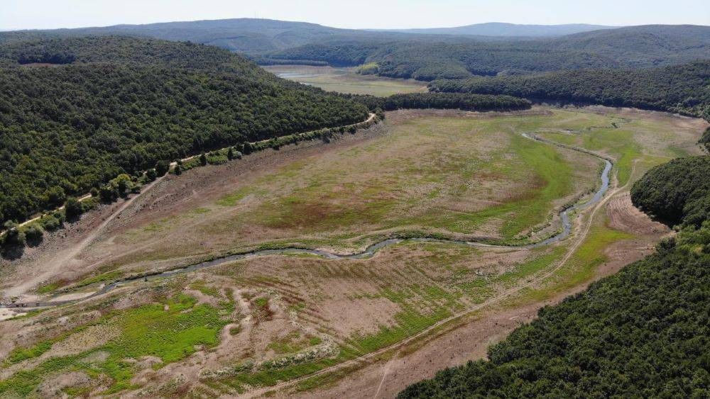 Barajlarda su bitti hayvanlar otlamaya başladı. İstanbul'da tehlike çanları - Resim: 7