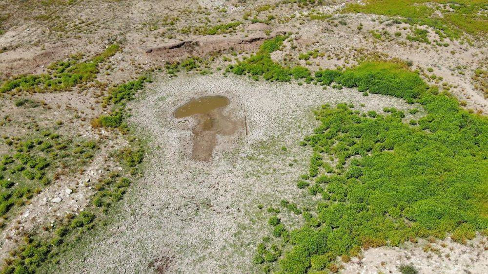 Barajlarda su bitti hayvanlar otlamaya başladı. İstanbul'da tehlike çanları - Resim: 3