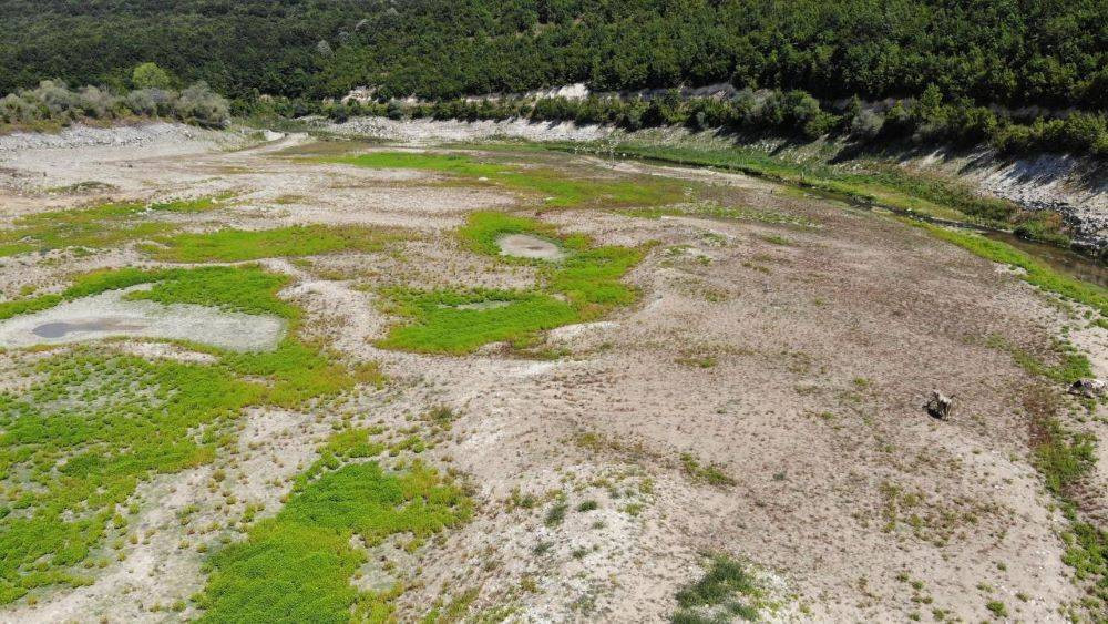 Barajlarda su bitti hayvanlar otlamaya başladı. İstanbul'da tehlike çanları - Resim: 6
