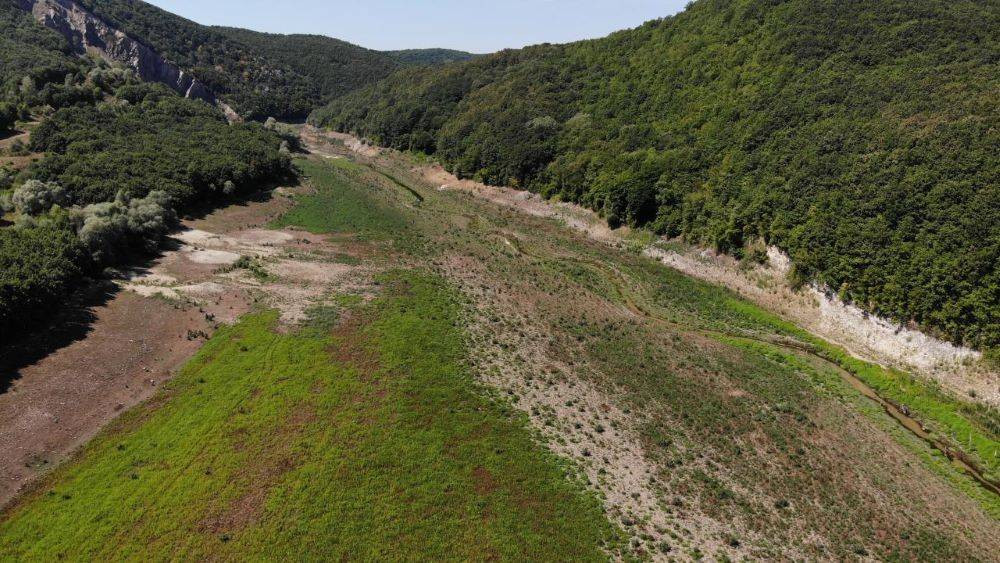 Barajlarda su bitti hayvanlar otlamaya başladı. İstanbul'da tehlike çanları - Resim: 2