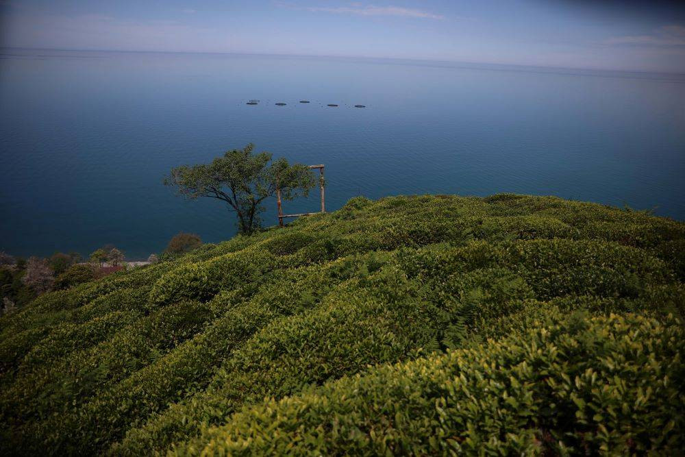 Karadeniz’i bekleyen büyük tehlike açıklandı - Resim: 3