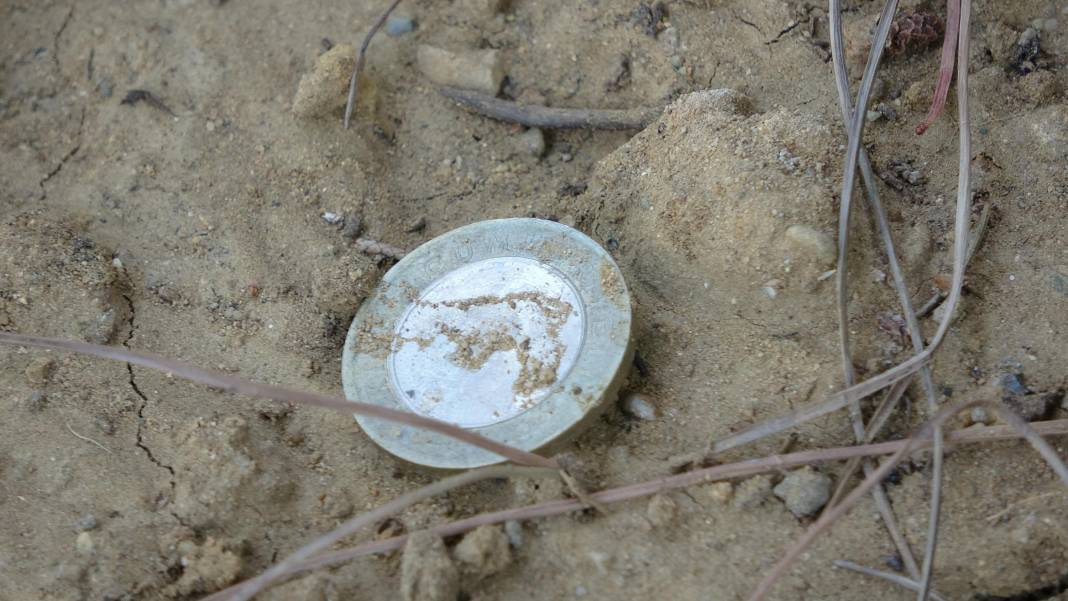 Herkesin adak adadığı türbe Çanakkale şehidinin çıktı - Resim: 6