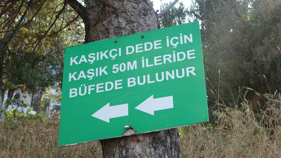 Herkesin adak adadığı türbe Çanakkale şehidinin çıktı - Resim: 5