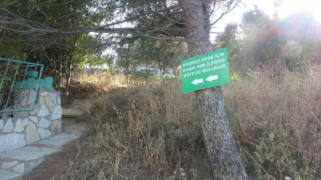 Herkesin adak adadığı türbe Çanakkale şehidinin çıktı - Resim: 2