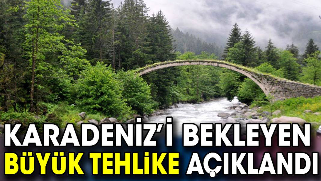 Karadeniz’i bekleyen büyük tehlike açıklandı - Resim: 1