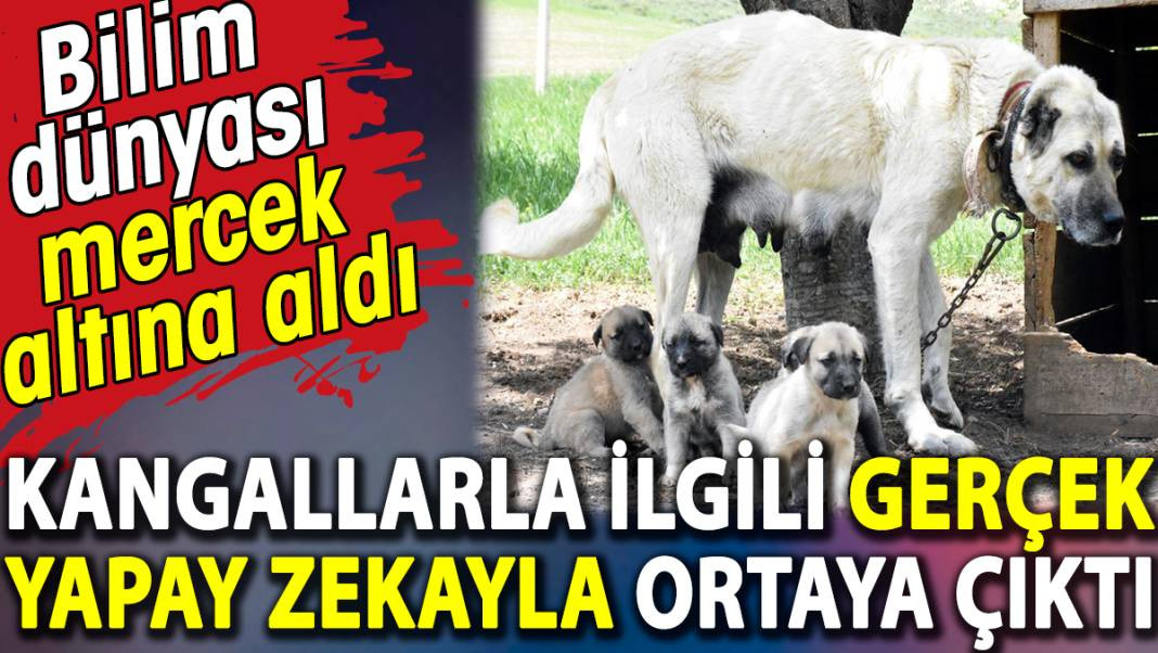 Kangallarla ilgili gerçek yapay zekayla ortaya çıktı. Bilim dünyası mercek altına aldı - Resim: 1