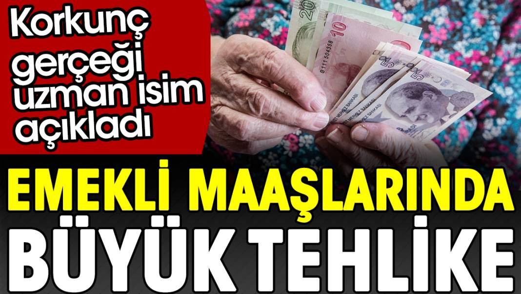 Emekli maaşlarında büyük tehlike. Korkunç gerçeği uzman isim açıkladı - Resim: 1