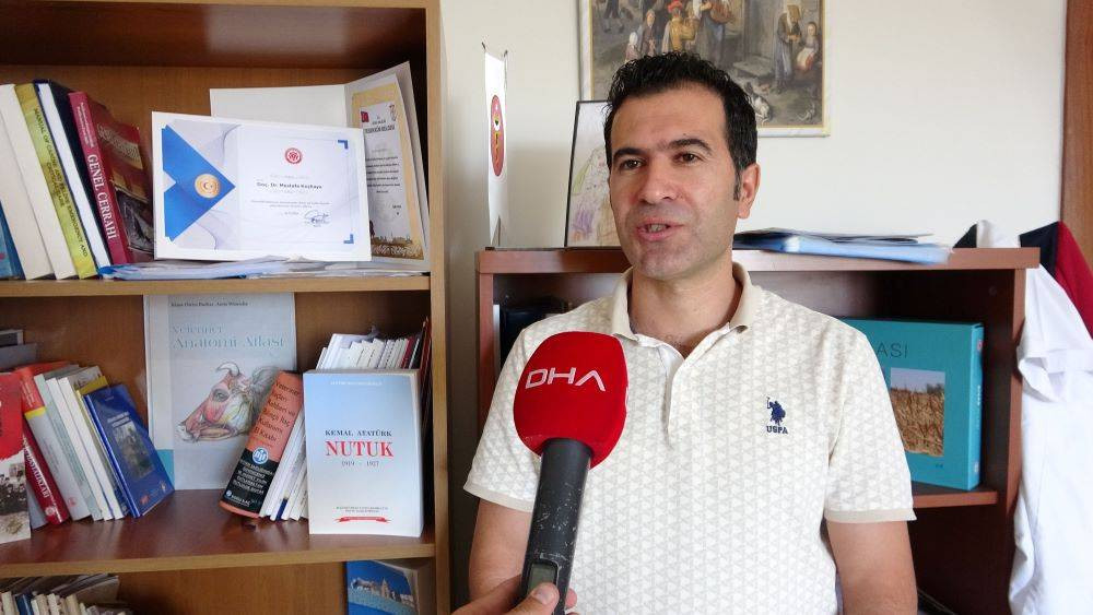 Kangallarla ilgili gerçek yapay zekayla ortaya çıktı. Bilim dünyası mercek altına aldı - Resim: 7