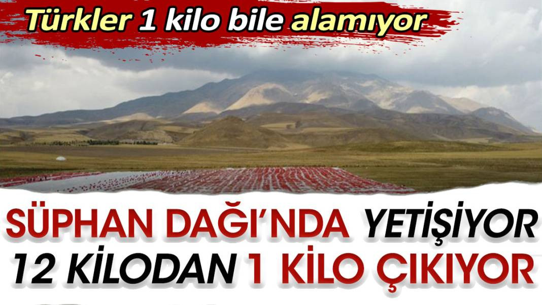 Süphan Dağı’nda yetişiyor 12 kilodan 1 kilo çıkıyor. Türkler 1 kilo bile alamıyor - Resim: 1