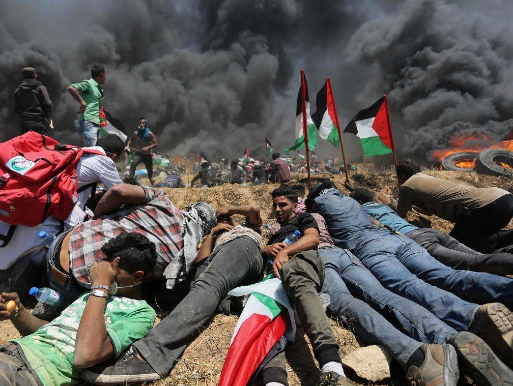 Ortadoğu kan gölü. 1113 kişi öldü - Resim: 17