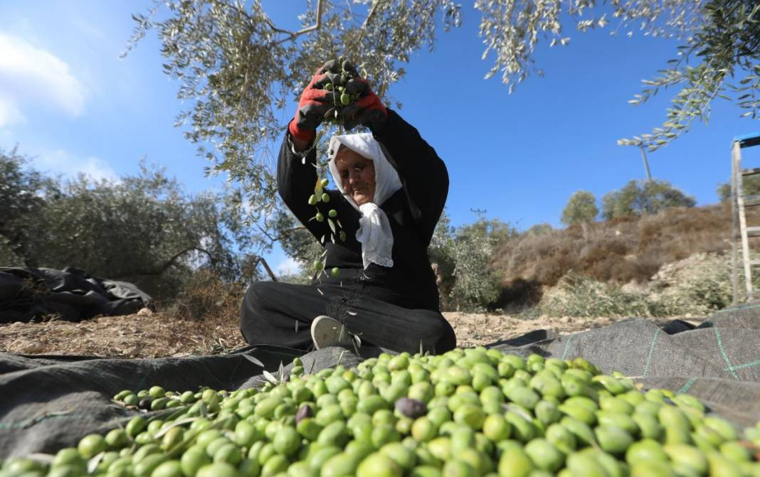 Tanesi 70 sıvısı 190 TL'den satılıyor. Türkiye'nin sebze ve meyve şehrinde köylü para basacak - Resim: 11