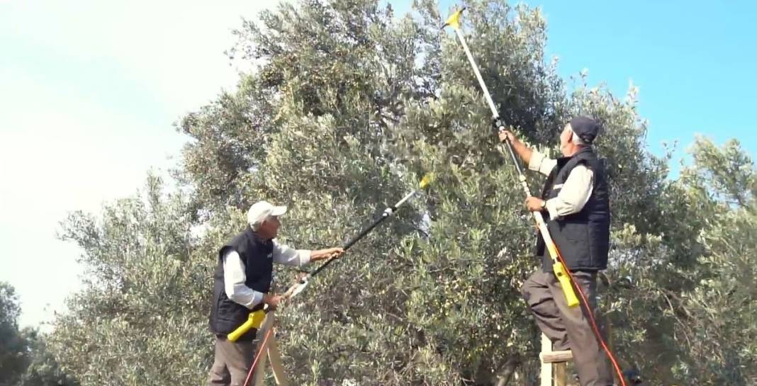 Tanesi 70 sıvısı 190 TL'den satılıyor. Türkiye'nin sebze ve meyve şehrinde köylü para basacak - Resim: 15