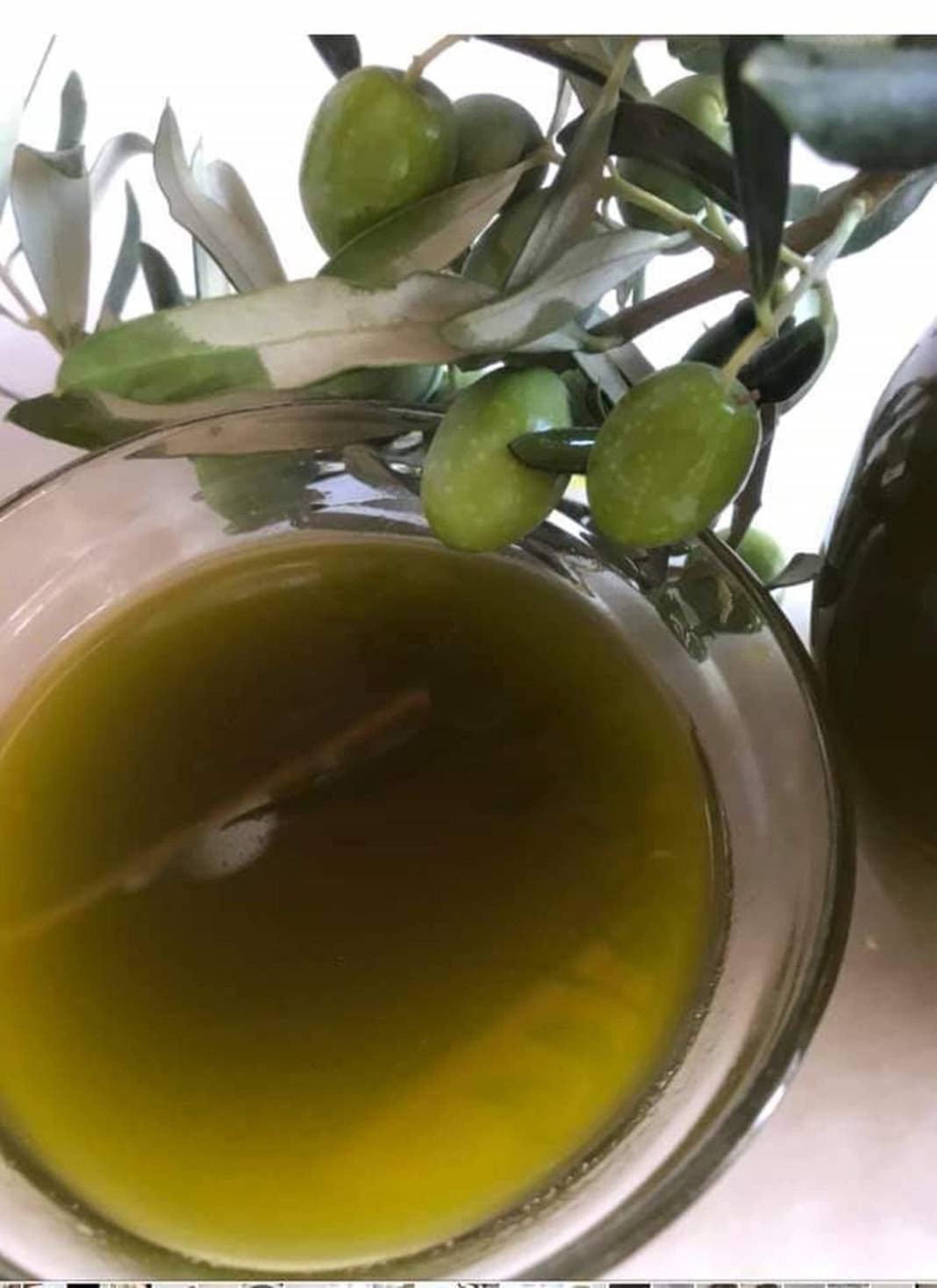 Tanesi 70 sıvısı 190 TL'den satılıyor. Türkiye'nin sebze ve meyve şehrinde köylü para basacak - Resim: 7