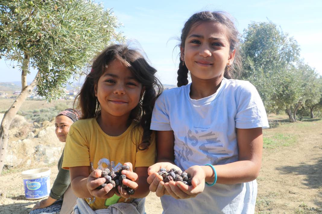 Fay hattı ikiye böldü korkutan hasat başladı. Köylüler yüzlerce ağacın yanına bile gidemiyor - Resim: 5