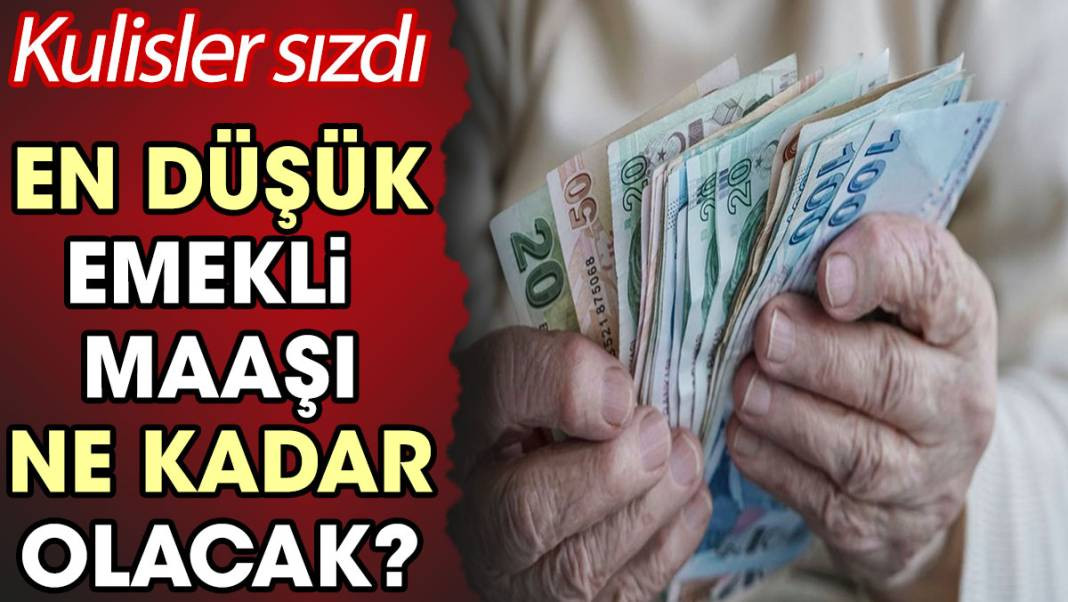 En düşük emekli maaşı ne kadar olacak? Kulislerden sızdı - Resim: 1
