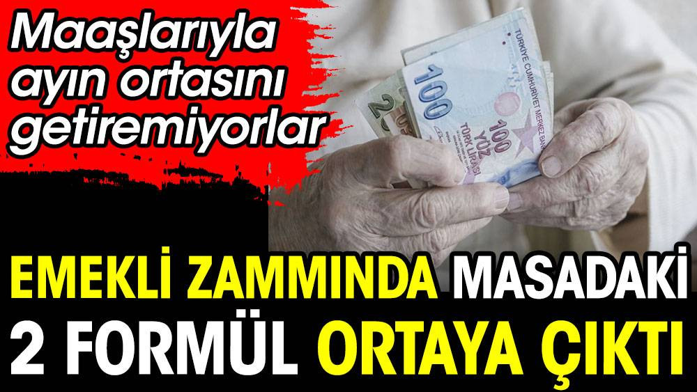 Emekli zammında masadaki 2 formül ortaya çıktı. Maaşlarıyla ayın ortasını getiremiyorlar - Resim: 1