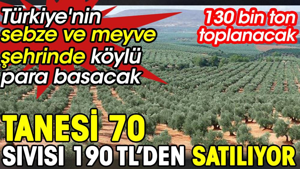 Tanesi 70 sıvısı 190 TL'den satılıyor. Türkiye'nin sebze ve meyve şehrinde köylü para basacak - Resim: 1