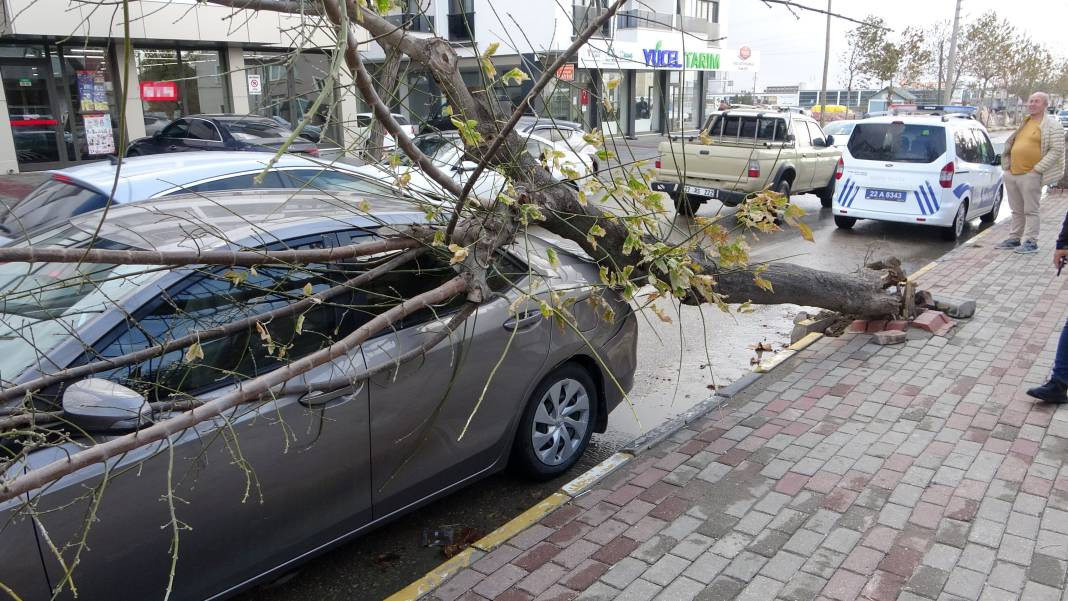 Edirne’yi lodos vurdu! Ağaç otomobilin üzerine devrildi - Resim: 4