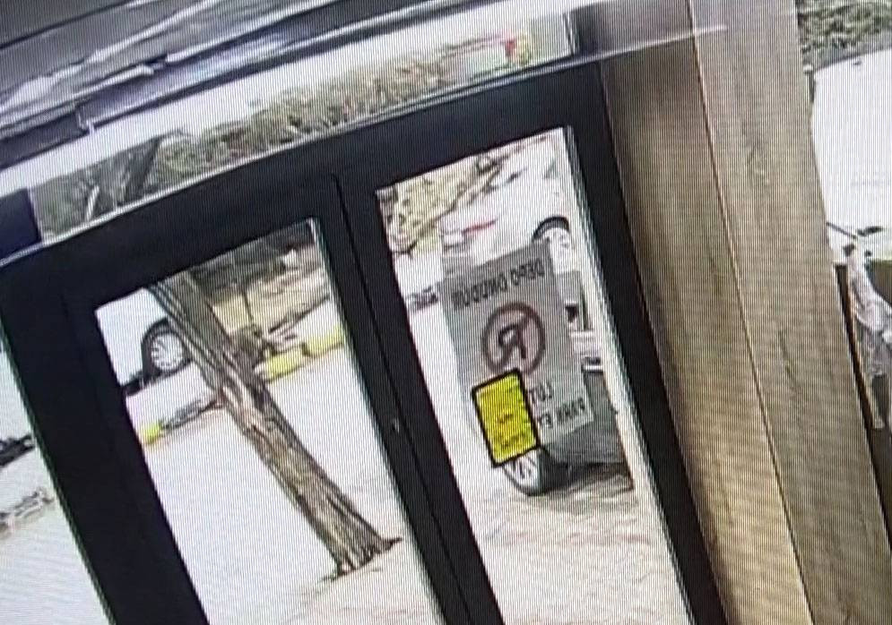 Edirne’yi lodos vurdu! Ağaç otomobilin üzerine devrildi - Resim: 3