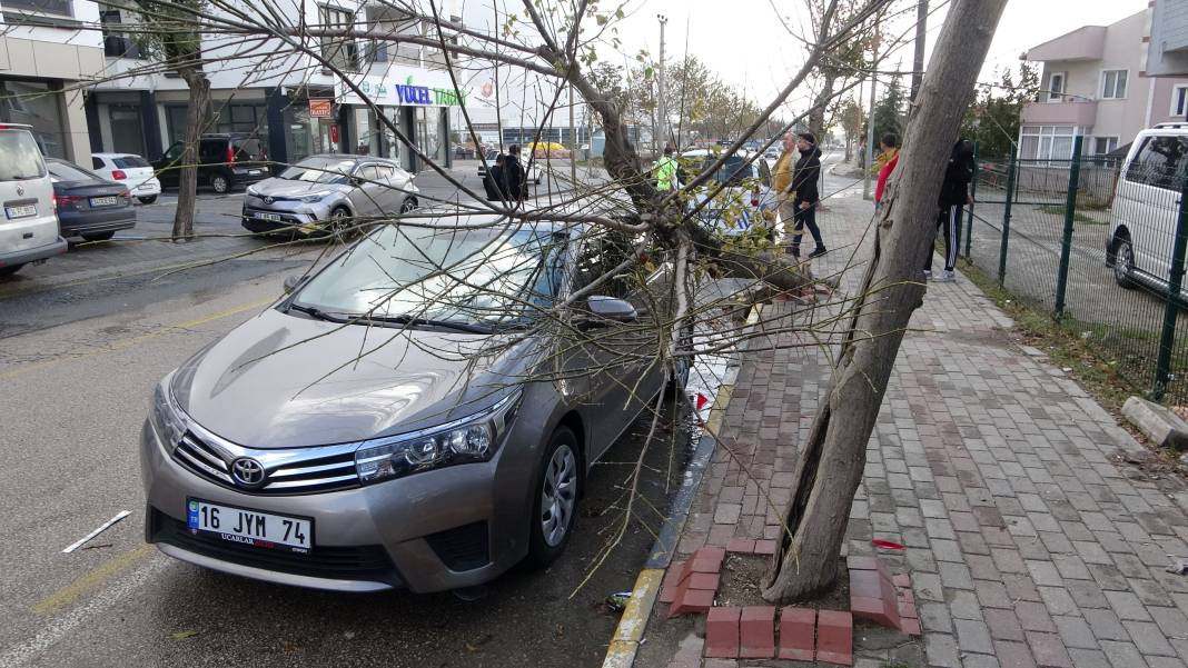 Edirne’yi lodos vurdu! Ağaç otomobilin üzerine devrildi - Resim: 5