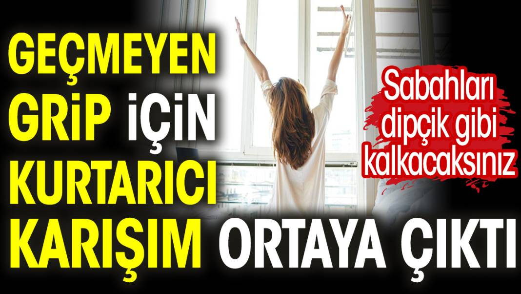 Geçmeyen grip için kurtarıcı karışım ortaya çıktı. Sabahları dipçik gibi kalkacaksınız - Resim: 1
