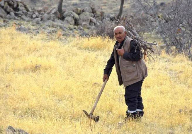 Koca köyde tek başına yaşayan adam hayatını nasıl sürdürdüğünü tek tek anlattı - Resim: 4