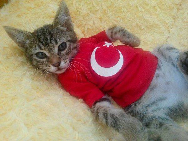 Türklerin bilmesi gereken 14 ilginç bilgi - Resim: 11