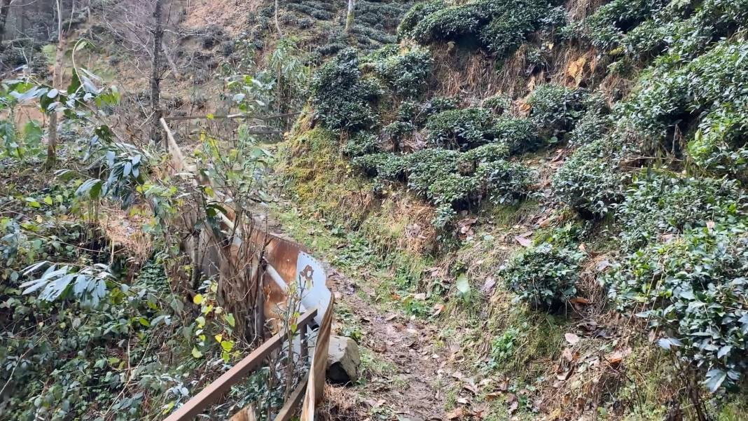 90 yaşındaki Rizeli amca imkansız diyenleri utandırdı - Resim: 9