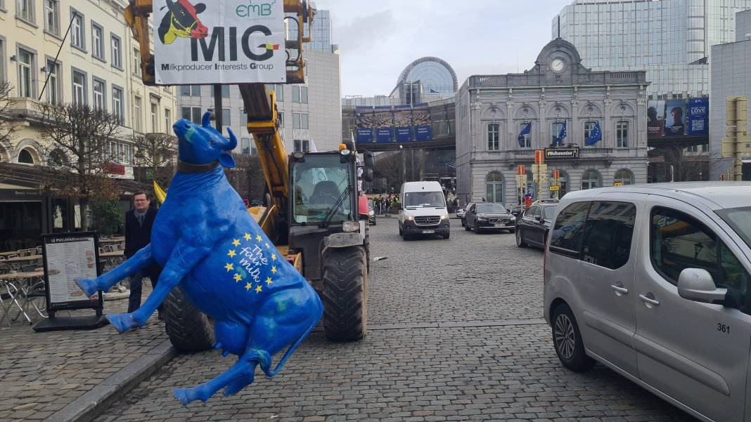Avrupa Parlamentosu önünde çiftçilerden protesto - Resim: 5