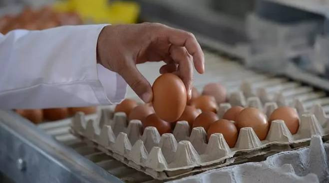 Bir gecede 700 ürünün fiyatı değişti. Kahvaltı keyfi tarih olacak - Resim: 3