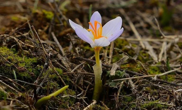 Baharın müjdecisi ilk cemre düştü - Resim: 3