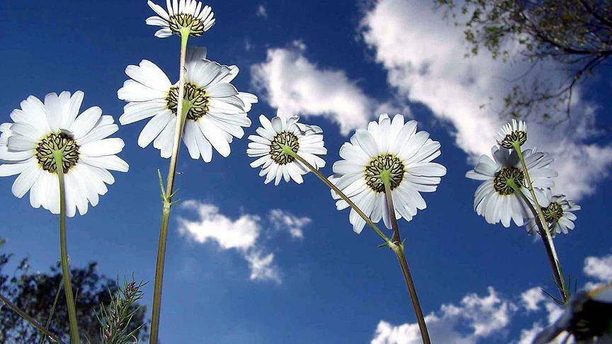Baharın müjdecisi ilk cemre düştü - Resim: 8