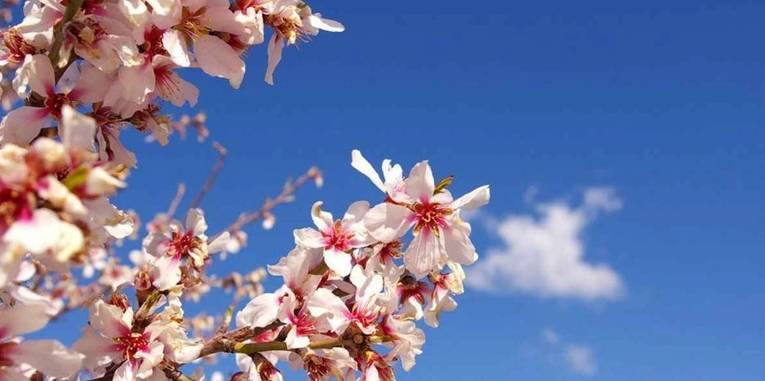 Baharın müjdecisi ilk cemre düştü - Resim: 5