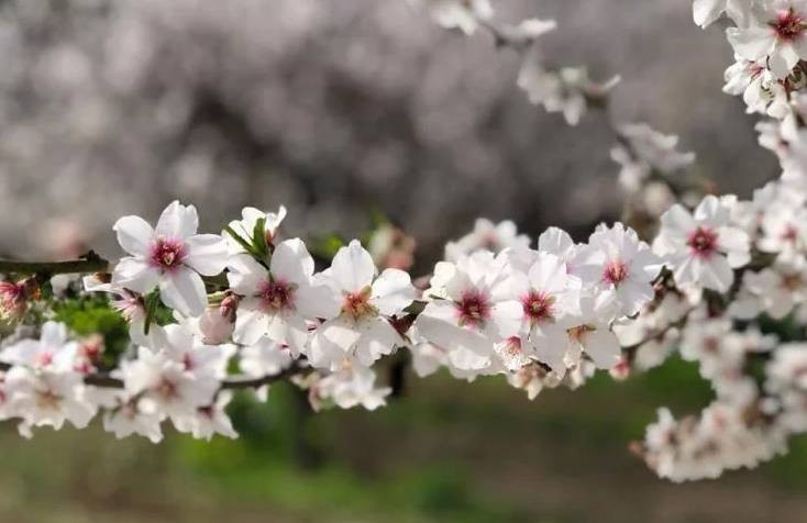 Baharın müjdecisi ilk cemre düştü - Resim: 4