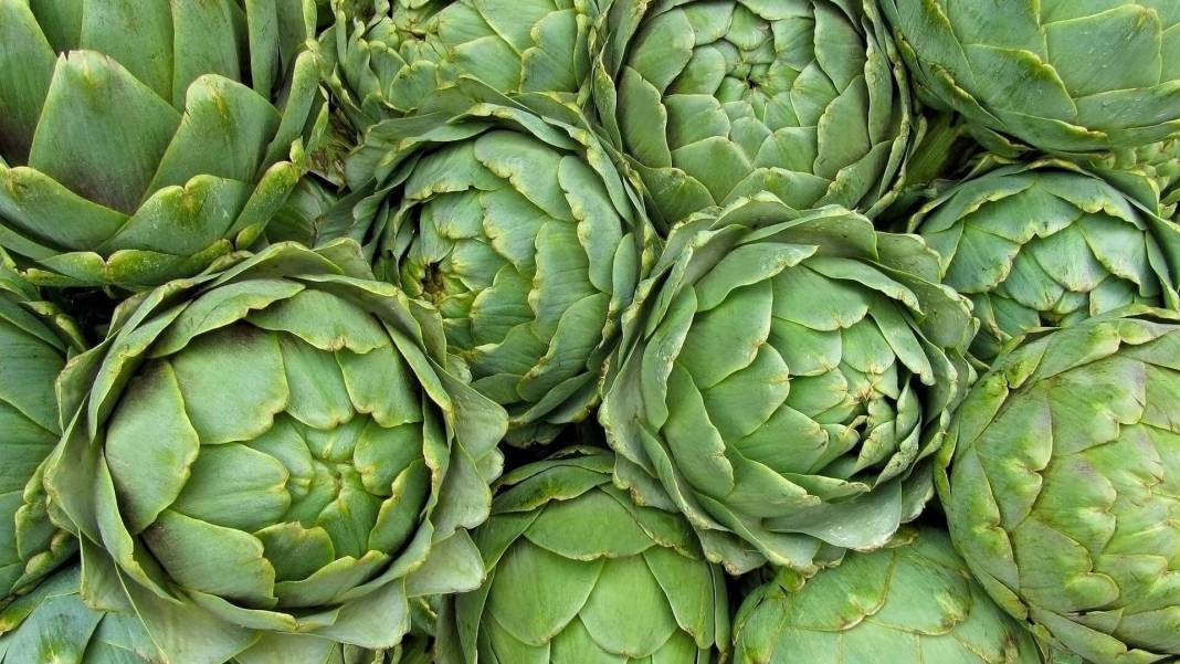 Enginarın sırrı ortaya çıktı. Sıradan bir sebze yemeğiydi şimdi nelere şifa olduğu belli oldu - Resim: 8