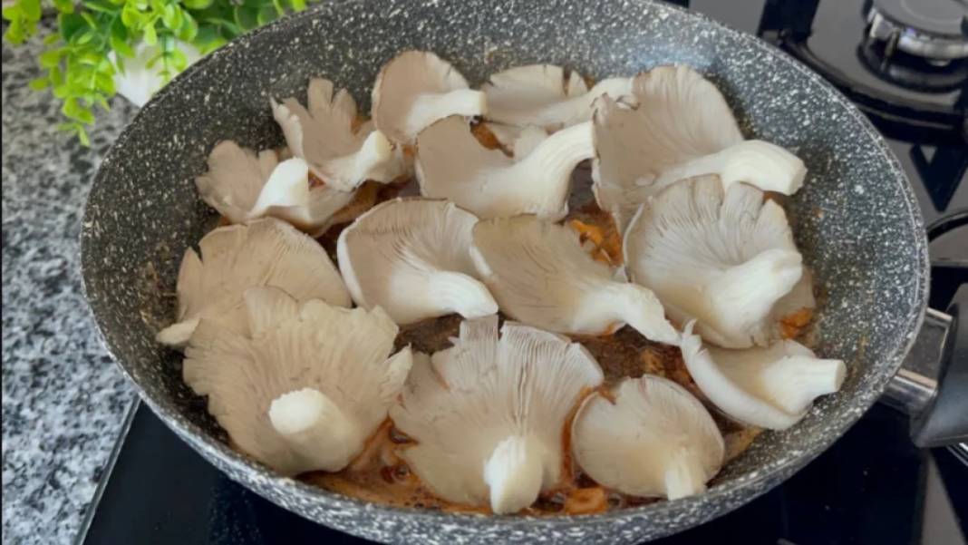 Etten 25 kat daha fazla protein var. Lezzetiyle etin önüne geçiyor. Et yiyemeyen emekliler sevinmesin bu da çok pahalı - Resim: 5