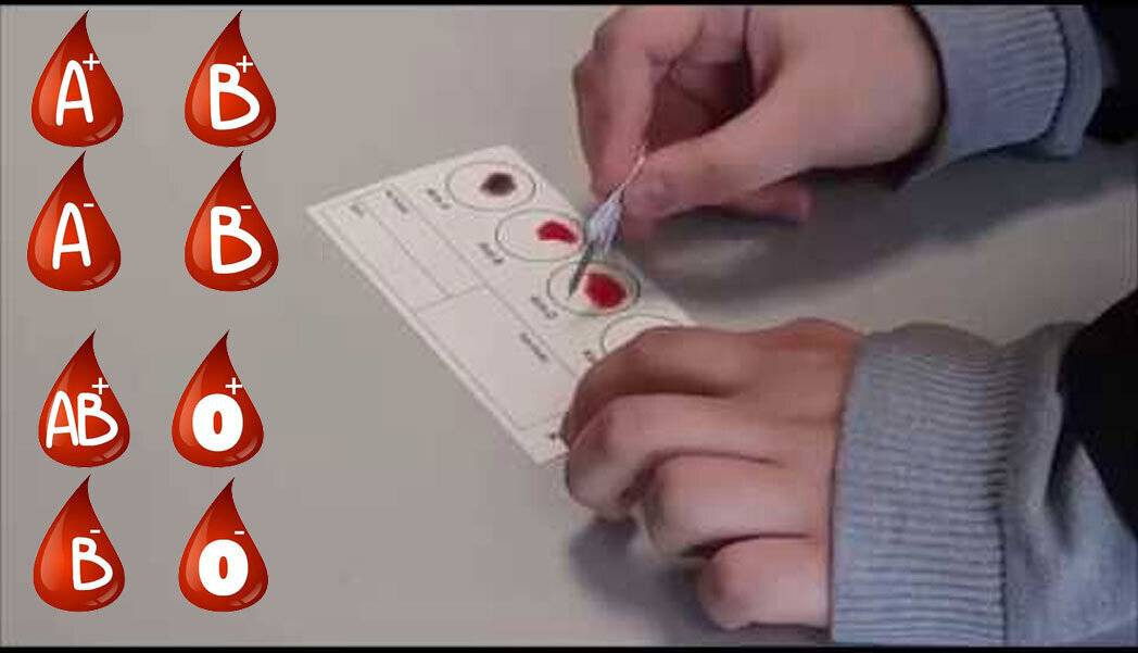 Kan grubunu bilen herkesi ilgilendiriyor - Resim: 7