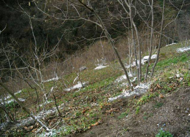 Bitki ve çiçeklerinizin verimliliğini arttırmak istiyorsanız bunu yapın - Resim: 7