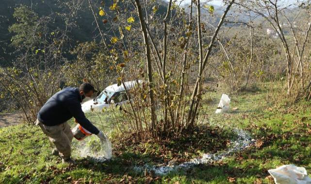 Bitki ve çiçeklerinizin verimliliğini arttırmak istiyorsanız bunu yapın - Resim: 2
