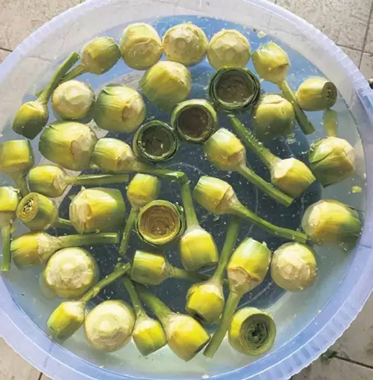 Enginar hasadı başladı soyucular paraya para demiyor. Adedini 15 saniyede ayıklıyorlar - Resim: 5