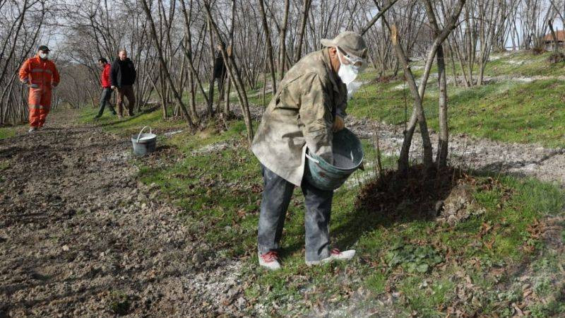 Bitki ve çiçeklerinizin verimliliğini arttırmak istiyorsanız bunu yapın - Resim: 1