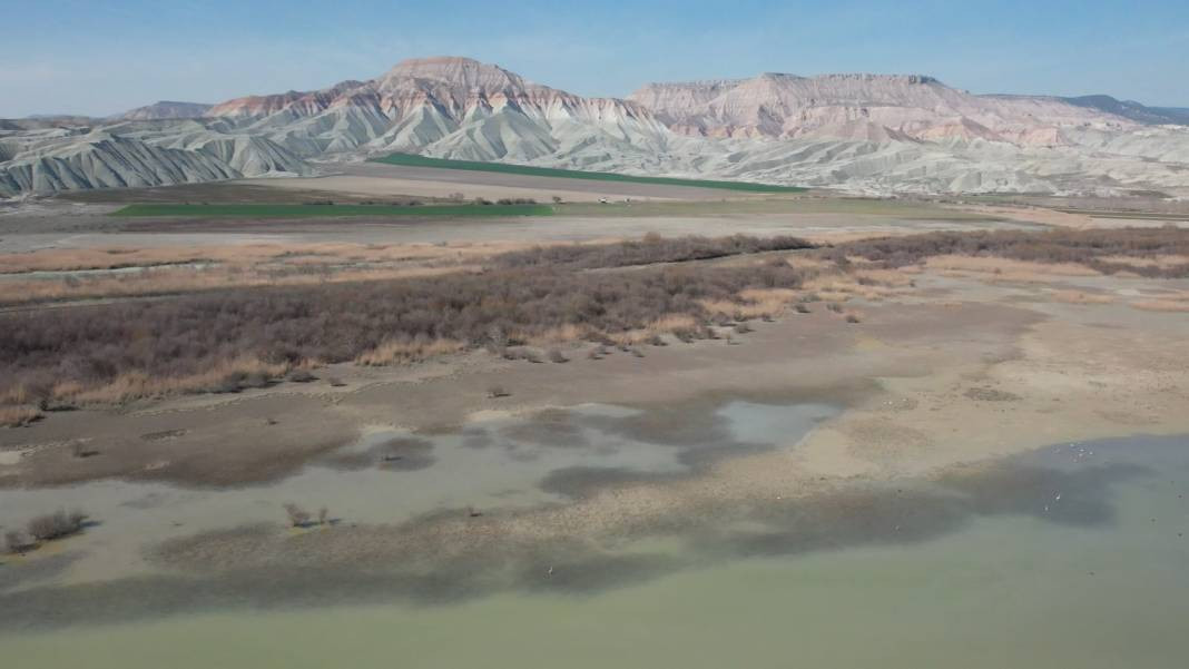 Ankara'nın Kuş Cenneti ziyaretçilerin gözlerini kamaştırıyor - Resim: 5