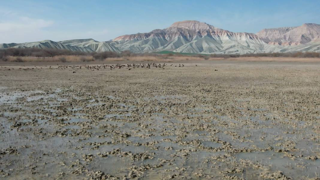 Ankara'nın Kuş Cenneti ziyaretçilerin gözlerini kamaştırıyor - Resim: 3