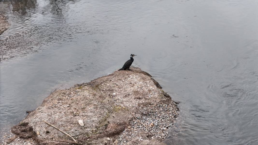 Kızılırmak alarm veriyor - Resim: 7